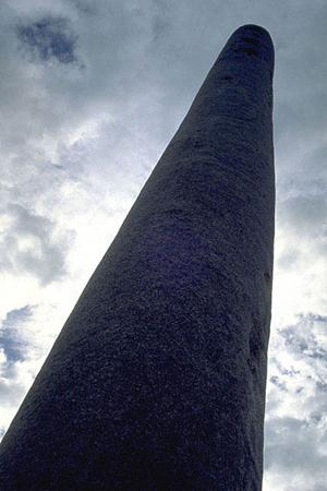 効率的な物流を実現！電動パレットの選び方と導入メリット完全ガイド